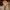 https://res.cloudinary.com/billionhands/image/upload/v1774891595/items/a1vqxlttljef3gwzxi5t.jpg-0cover