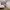 https://res.cloudinary.com/billionhands/image/upload/v1774891689/items/cet7oz6ckqjrruhkz7t1.jpg-3cover