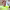 https://res.cloudinary.com/billionhands/image/upload/v1774891737/items/jymf7zdfdmcnqbql0j1a.jpg-0cover