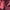 https://res.cloudinary.com/billionhands/image/upload/v1774891814/items/t8enxwzext2njatjomlj.webp-3cover