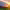 https://res.cloudinary.com/billionhands/image/upload/v1774892688/items/ljnkje6rarg3antzwf3d.jpg-2cover