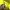 https://res.cloudinary.com/billionhands/image/upload/v1774894004/items/zmvijps1dnefvgdoyltv.jpg-3cover