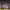 https://res.cloudinary.com/billionhands/image/upload/v1774894266/items/igbd7wwecbx11akbqdnn.jpg-0cover