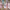 https://res.cloudinary.com/billionhands/image/upload/v1774894330/items/whhbay0b5rrqzown1z5y.png-2cover
