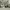 https://res.cloudinary.com/billionhands/image/upload/v1774894964/items/nztnbsdplufcz8x7m3db.jpg-2cover