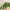 https://res.cloudinary.com/billionhands/image/upload/v1774895189/items/e84icuecdlbpwvzg8lp1.webp-1cover