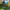 https://res.cloudinary.com/billionhands/image/upload/v1774895384/items/xbd7v4pgzlsqjwsc4jtk.webp-2cover