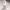 https://res.cloudinary.com/billionhands/image/upload/v1774895715/items/e78fmucna3yt1rlfeifm.jpg-2cover