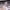 https://res.cloudinary.com/billionhands/image/upload/v1774896006/items/cso5erlrtcem4iksiu6i.avif-3cover