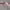 https://res.cloudinary.com/billionhands/image/upload/v1774896022/items/wuxd4qzjelkza0fnqbnh.jpg-0cover
