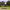 https://res.cloudinary.com/billionhands/image/upload/v1774896180/items/em8eydfsrtcfjifwtojk.jpg-3cover
