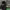 https://res.cloudinary.com/billionhands/image/upload/v1774896183/items/t5x9ktzgp28a1mstaypz.jpg-1cover