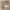 https://res.cloudinary.com/billionhands/image/upload/v1774896295/items/w5pehuwruvsf9hchzqn8.jpg-0cover