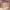 https://res.cloudinary.com/billionhands/image/upload/v1774896299/items/capeneonagy6o6dx1ayr.jpg-2cover