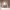 https://res.cloudinary.com/billionhands/image/upload/v1774896300/items/pf6ybusb2xwj7wt8lad5.png-1cover