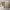 https://res.cloudinary.com/billionhands/image/upload/v1774896304/items/b1ny8iibc12uirbkom2c.jpg-3cover