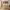 https://res.cloudinary.com/billionhands/image/upload/v1774896305/items/h9x7qotittjrjfkv2xvj.avif-3cover