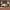 https://res.cloudinary.com/billionhands/image/upload/v1774896344/items/wos6fu6mzj1aemvdr8ia.jpg-0cover