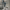 https://res.cloudinary.com/billionhands/image/upload/v1774896354/items/w3cfgmjhudmmkv5aywv4.webp-3cover