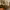 https://res.cloudinary.com/billionhands/image/upload/v1774896361/items/nsbywxlfhc1cbhnpft46.webp-3cover