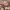 https://res.cloudinary.com/billionhands/image/upload/v1774896406/items/volbxqejdvjr5sn8l1iu.jpg-0cover