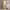 https://res.cloudinary.com/billionhands/image/upload/v1774896417/items/wwiqp0jflryuj8aakcc6.jpg-0cover