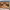 https://res.cloudinary.com/billionhands/image/upload/v1774896552/items/qgfqh76fcihxfjlndcde.jpg-3cover