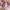 https://res.cloudinary.com/billionhands/image/upload/v1774896790/items/vvc1wdchdtmzxy4bxz0x.jpg-2cover