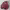 https://res.cloudinary.com/billionhands/image/upload/v1774896794/items/pda6snxkt4qawimpet1h.jpg-1cover
