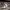 https://res.cloudinary.com/billionhands/image/upload/v1774897023/items/qn4yp35a48ryq0jif68k.webp-2cover