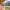 https://res.cloudinary.com/billionhands/image/upload/v1774897046/items/ojaqxzmt9zf9wcmgdgia.jpg-1cover