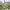 https://res.cloudinary.com/billionhands/image/upload/v1774897047/items/yz4iw2wiryy6dnm3ujtu.jpg-3cover