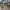 Village house for full renovation (Redondela, Pontevedra) cover