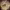 https://res.cloudinary.com/billionhands/image/upload/v1774897505/items/r8rnz7gzgoncrtotgxjd.jpg-0cover
