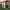 https://res.cloudinary.com/billionhands/image/upload/v1774897744/items/druyqvfgnxrg9dykpvcp.jpg-0cover
