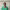 https://res.cloudinary.com/billionhands/image/upload/v1774897804/items/zsw5cp00qxknokjyigaf.jpg-2cover