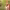 https://res.cloudinary.com/billionhands/image/upload/v1774898254/items/y7lpjbah8o4t977xfrv0.jpg-3cover