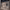 https://res.cloudinary.com/billionhands/image/upload/v1774898540/items/b40917brhndtj9dh0cpz.jpg-3cover