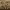 https://res.cloudinary.com/billionhands/image/upload/v1774899314/items/kwhwogunhq7rlgisq6gj.jpg-3cover
