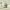 https://res.cloudinary.com/billionhands/image/upload/v1774899324/items/n1aeptnpt4bhegimswbk.png-1cover