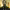 https://res.cloudinary.com/billionhands/image/upload/v1774899409/items/xqnjdbafwfo6w5kx7bj4.jpg-0cover