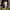 https://res.cloudinary.com/billionhands/image/upload/v1774899418/items/exjedn5srkaoqcdqjzt7.jpg-3cover