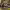 https://res.cloudinary.com/billionhands/image/upload/v1774899883/items/mizxuncizzmmuhxk2qks.jpg-0cover