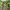 https://res.cloudinary.com/billionhands/image/upload/v1774899884/items/ysuceie65tkfifslwple.jpg-1cover