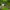https://res.cloudinary.com/billionhands/image/upload/v1774899891/items/igwuuj6mgcid4dpwmw7b.jpg-3cover