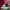 https://res.cloudinary.com/billionhands/image/upload/v1774900712/items/adrycgrysv1f4vv0fw1y.jpg-2cover