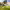 https://res.cloudinary.com/billionhands/image/upload/v1774900973/items/gszjhyyeqtpumqjsrra9.jpg-3cover