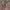 https://res.cloudinary.com/billionhands/image/upload/v1774901566/items/e3vj5neoawewushlpofc.webp-3cover