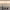 https://res.cloudinary.com/billionhands/image/upload/v1774901610/items/dkg3qtjehx69nirz2hnb.jpg-1cover