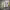 https://res.cloudinary.com/billionhands/image/upload/v1774901803/items/foxlxwtqwn5t8br3c2sp.webp-2cover